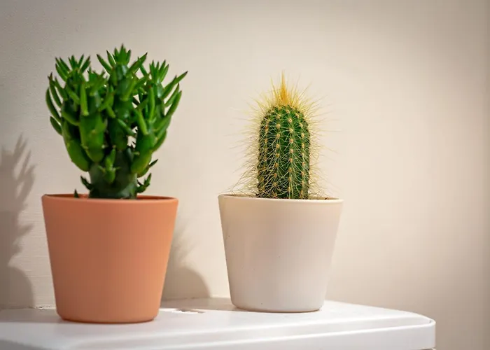 Apartamento La Love-room D'alice Balnéo Et Vidéo-projecteur ! *